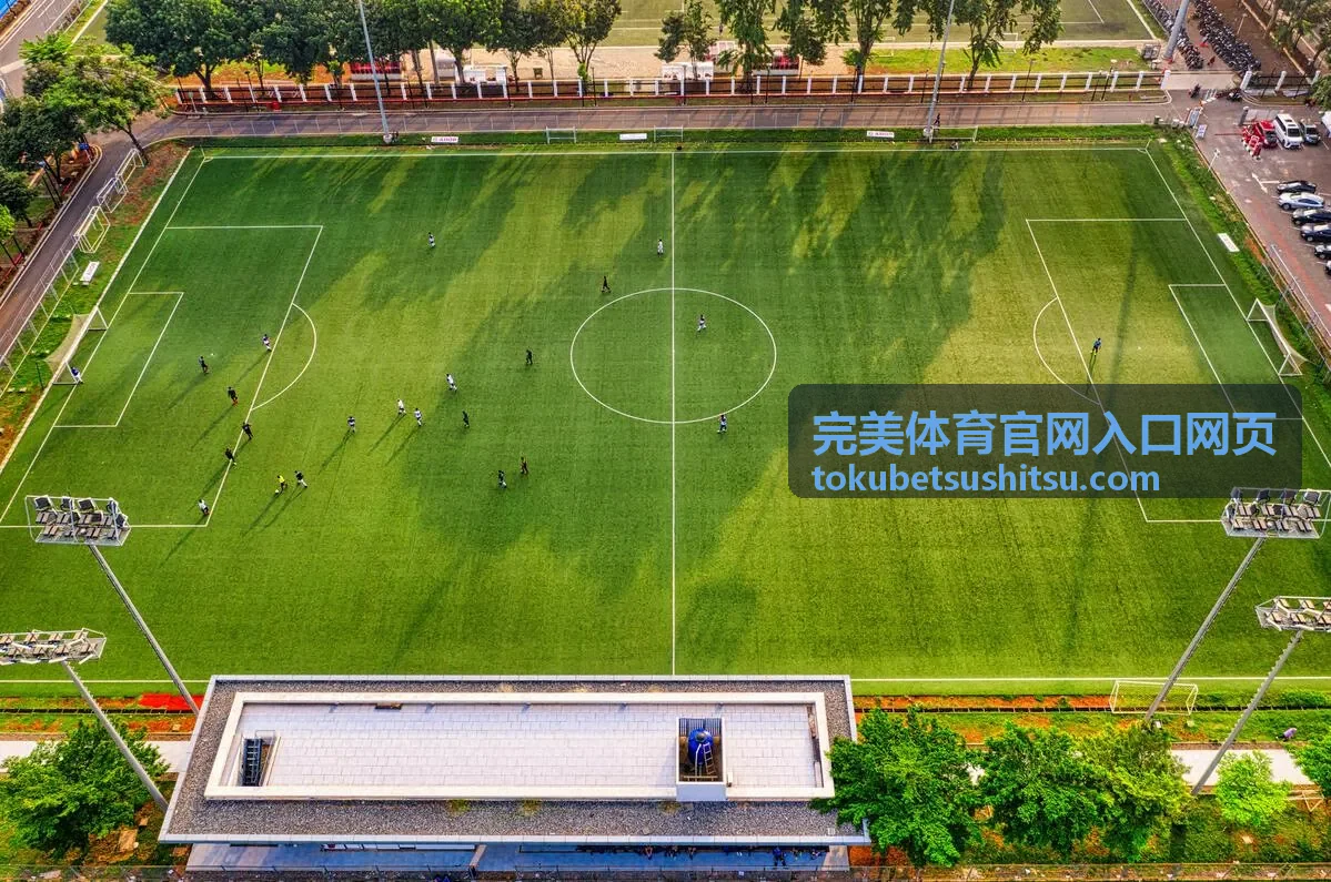 完美体育官网入口网页赛事日程安排主赛场跑道全景