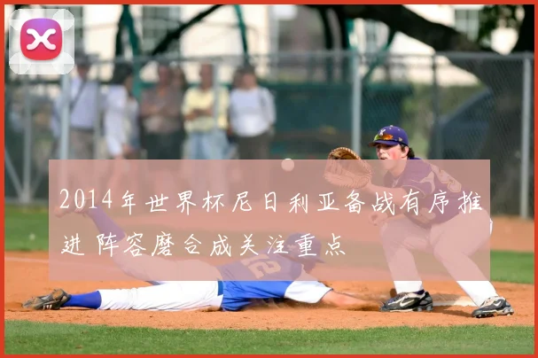 2014年世界杯尼日利亚备战有序推进 阵容磨合成关注重点