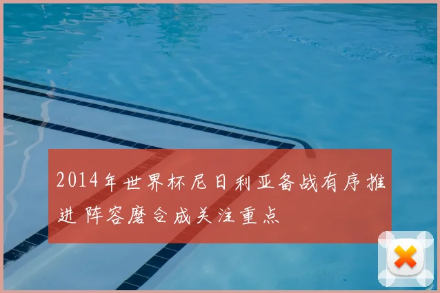 2014年世界杯尼日利亚备战有序推进 阵容磨合成关注重点