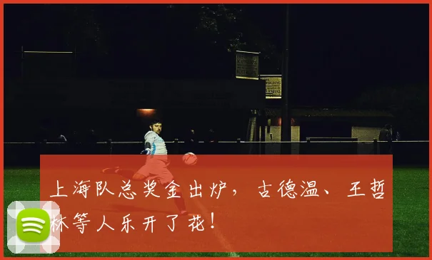 上海队总奖金出炉,古德温、王哲林等人乐开了花!