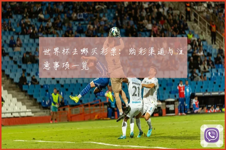 世界杯去哪买彩票：购彩渠道与注意事项一览