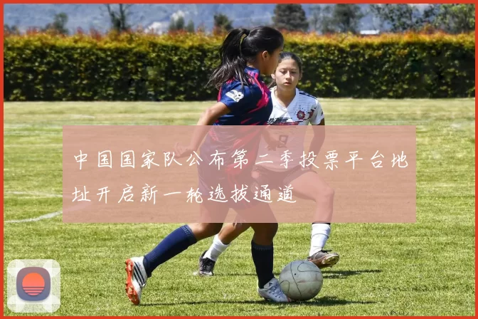中国国家队公布第二季投票平台地址开启新一轮选拔通道