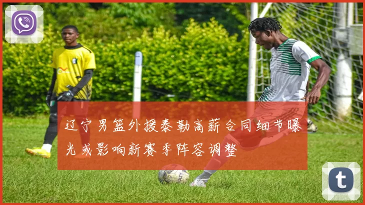 辽宁男篮外援泰勒高薪合同细节曝光或影响新赛季阵容调整