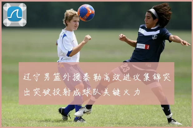 辽宁男篮外援泰勒高效进攻集锦突出突破投射成球队关键火力