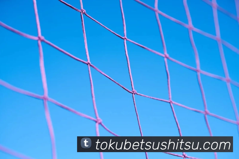 九州体育品牌故事